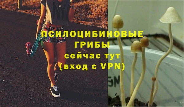 молекула духа Абинск