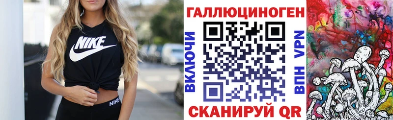 наркошоп  Цимлянск  Псилоцибиновые грибы Psilocybe 